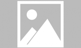 娱乐圈吃瓜爆料免费下载,免费下载吃瓜神器，揭秘明星幕后故事